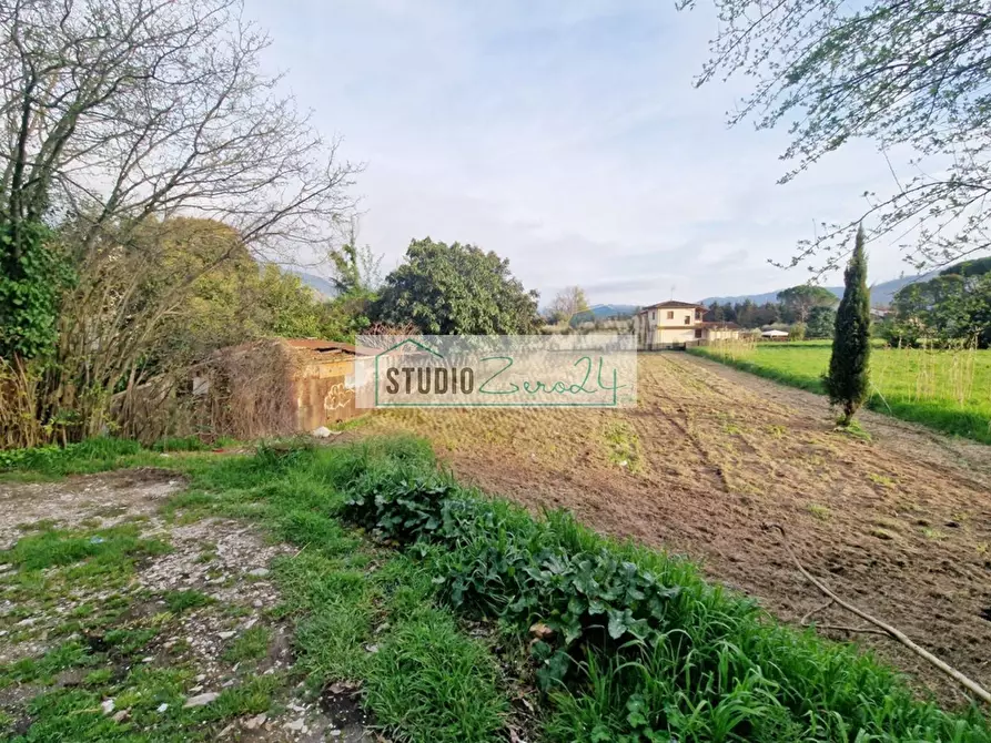 Immagine 6 di Terreno agricolo in vendita  in via della serra a Camaiore