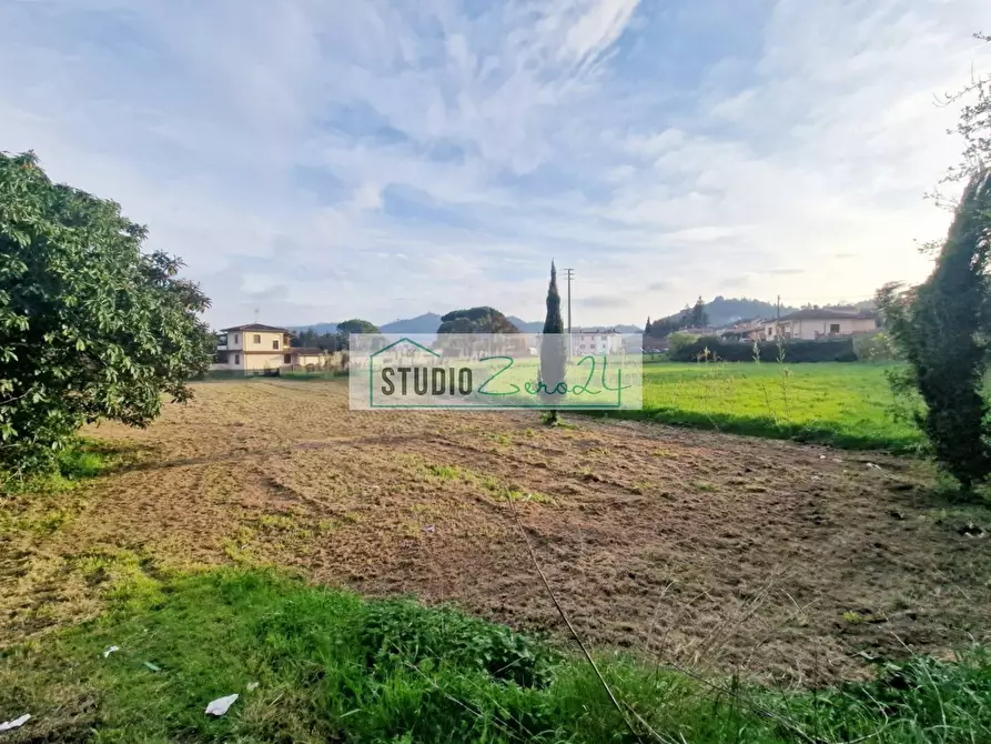 Immagine 8 di Terreno agricolo in vendita  in via della serra a Camaiore