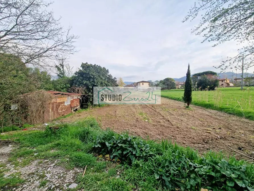 Immagine 9 di Terreno agricolo in vendita  in via della serra a Camaiore