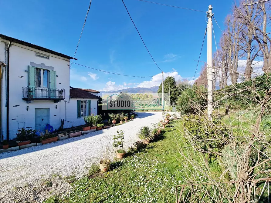 Immagine 4 di Attività commerciale in vendita  in via provinciale a Camaiore