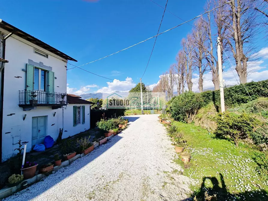 Immagine 8 di Attività commerciale in vendita  in via provinciale a Camaiore