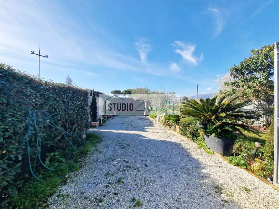 Immagine 32 di Attività commerciale in vendita  in via provinciale a Camaiore