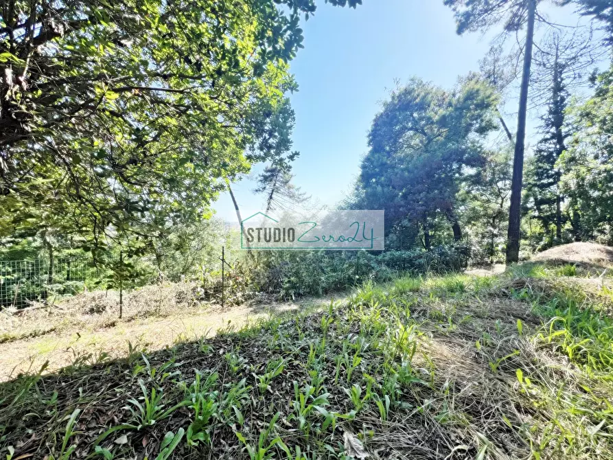 Immagine 66 di Villa in vendita  in Via del Pezzigno 15 a Camaiore