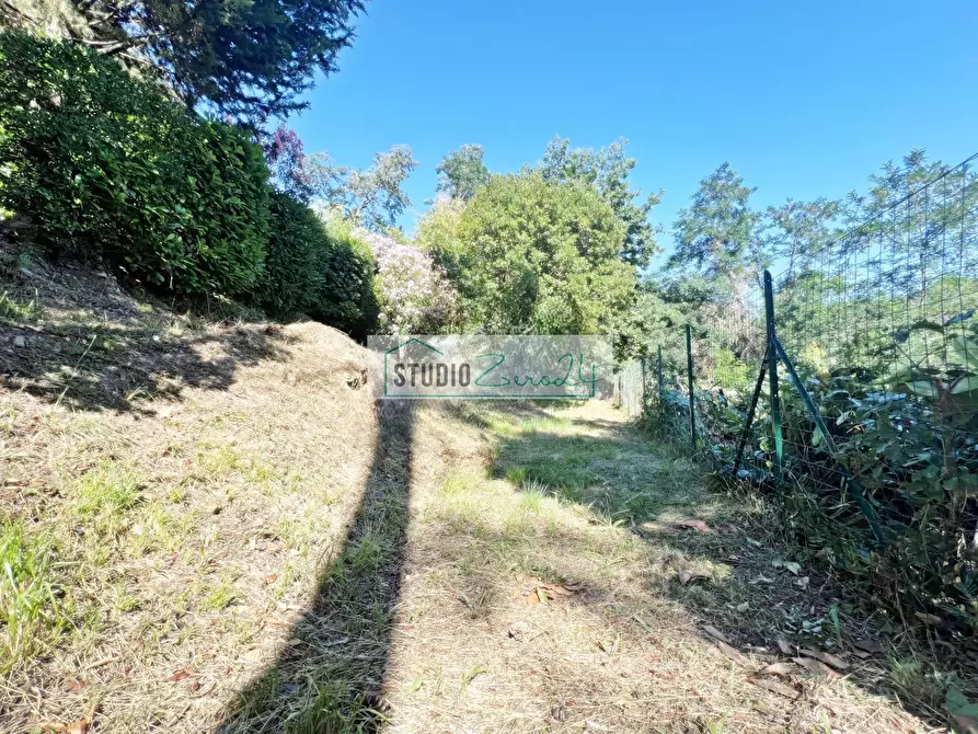 Immagine 67 di Villa in vendita  in Via del Pezzigno 15 a Camaiore