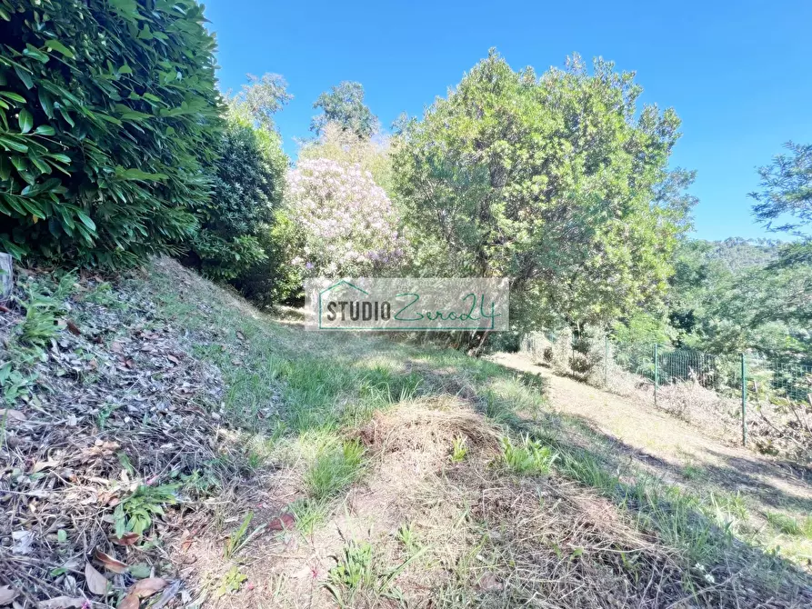 Immagine 69 di Villa in vendita  in Via del Pezzigno 15 a Camaiore