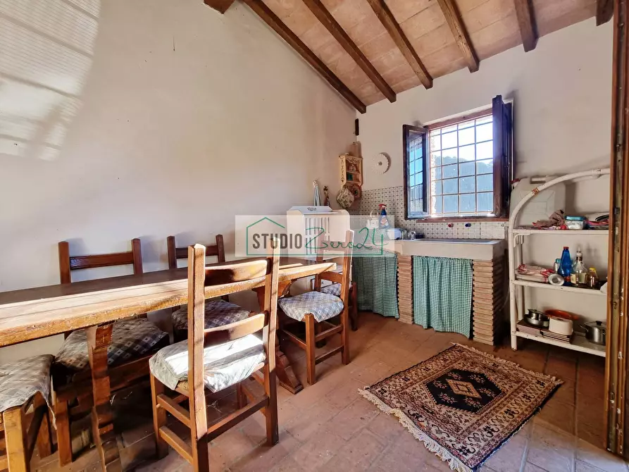 Immagine 7 di Terreno agricolo in vendita  in via sandro pertini a Camaiore