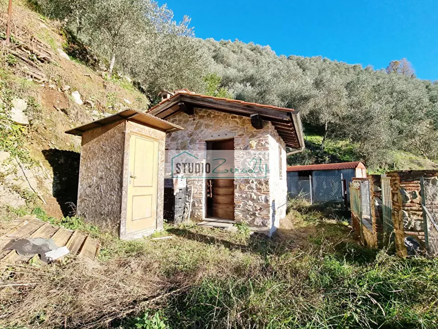 Immagine 8 di Terreno agricolo in vendita  in via sandro pertini a Camaiore