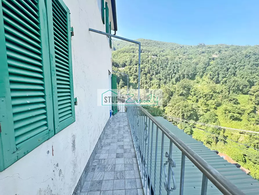 Immagine 43 di Casa indipendente in vendita  in via Mandria 176 a Camaiore