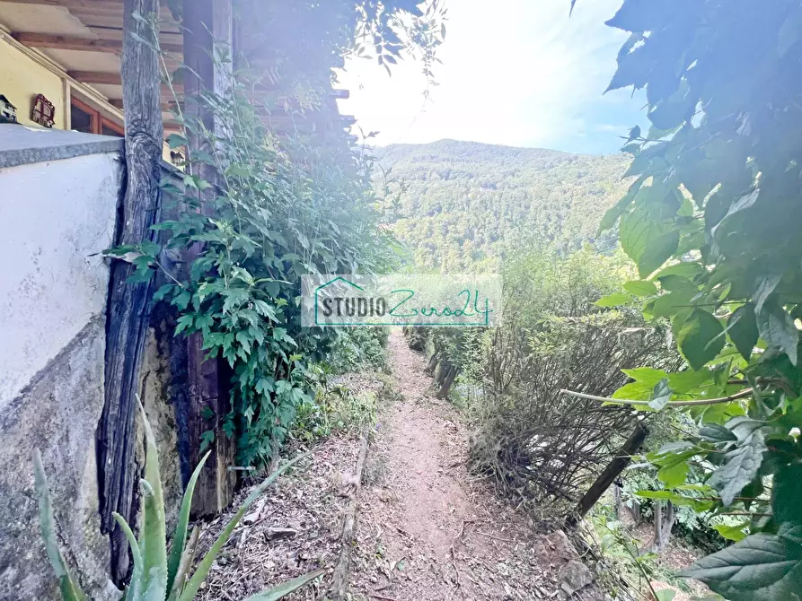 Immagine 59 di Casa indipendente in vendita  in via Mandria 176 a Camaiore