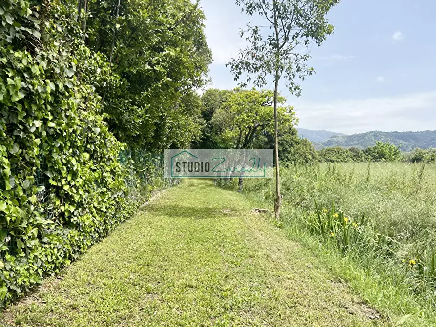 Immagine 2 di Terreno agricolo in vendita  in Via del Gallino 11 a Camaiore