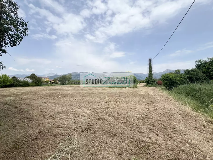 Immagine 3 di Terreno agricolo in vendita  in Via del Gallino 11 a Camaiore