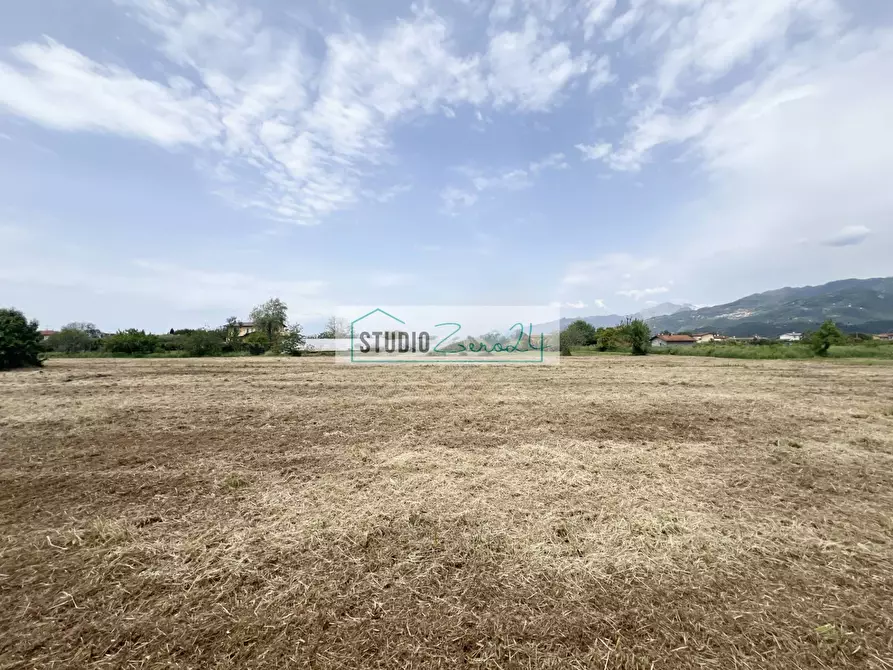 Immagine 4 di Terreno agricolo in vendita  in Via del Gallino 11 a Camaiore