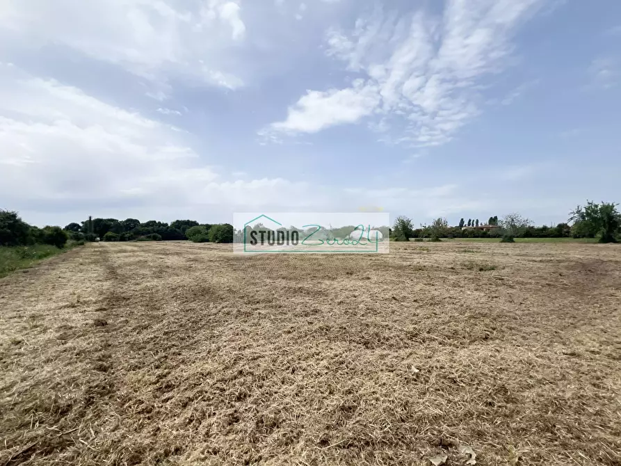 Immagine 5 di Terreno agricolo in vendita  in Via del Gallino 11 a Camaiore