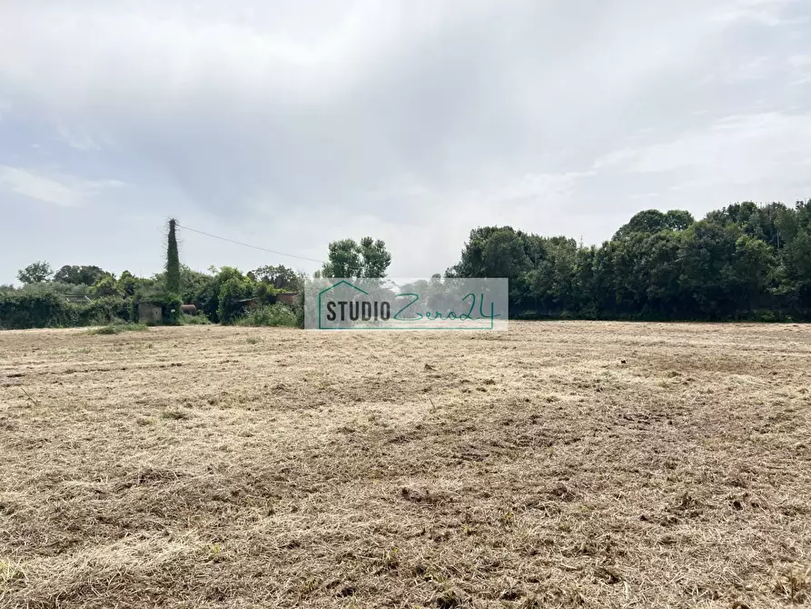 Immagine 7 di Terreno agricolo in vendita  in Via del Gallino 11 a Camaiore