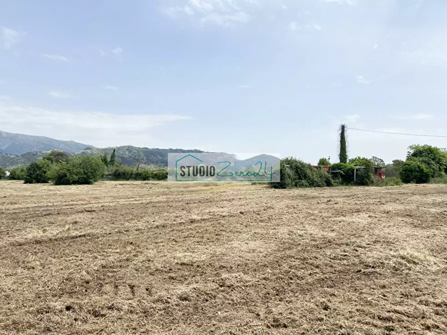 Immagine 9 di Terreno agricolo in vendita  in Via del Gallino 11 a Camaiore