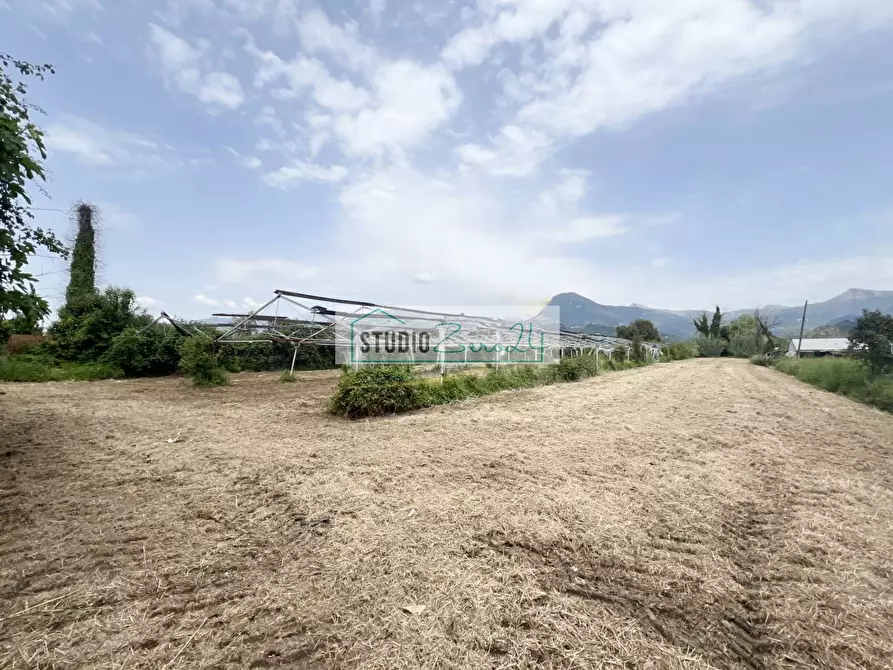 Immagine 13 di Terreno agricolo in vendita  in Via del Gallino 11 a Camaiore