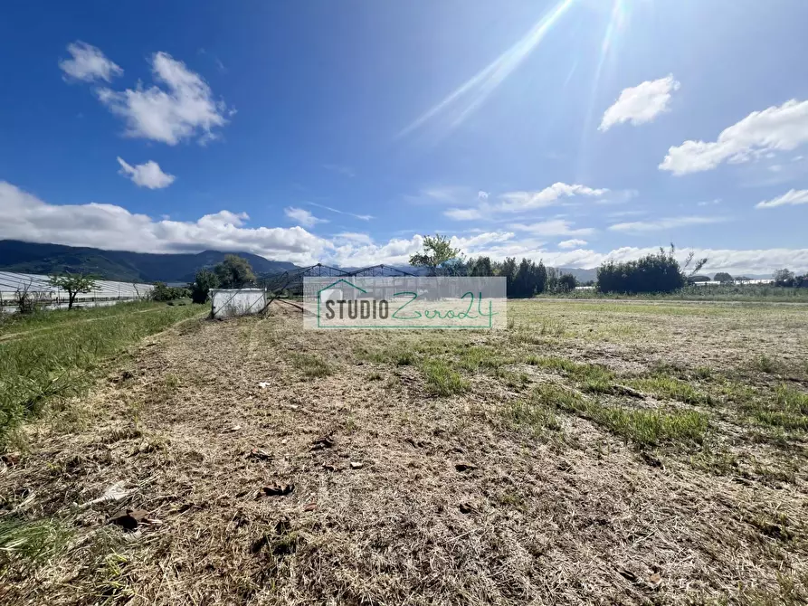 Immagine 15 di Terreno agricolo in vendita  in Via del Gallino 11 a Camaiore