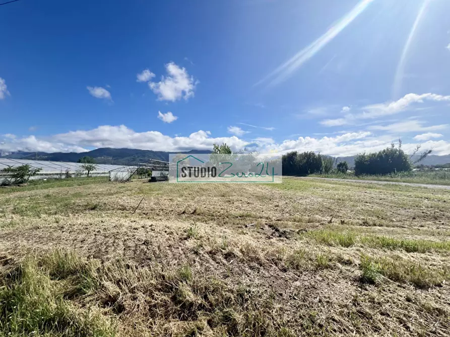 Immagine 16 di Terreno agricolo in vendita  in Via del Gallino 11 a Camaiore