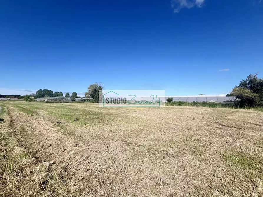 Immagine 17 di Terreno agricolo in vendita  in Via del Gallino 11 a Camaiore