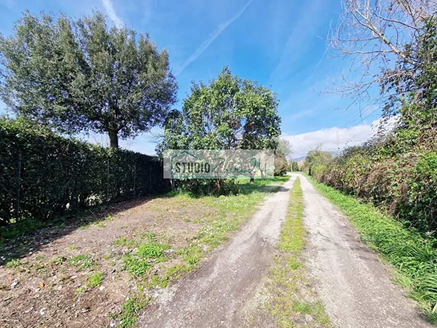 Immagine 24 di Villa in vendita  in via fratelli rosselli a Camaiore