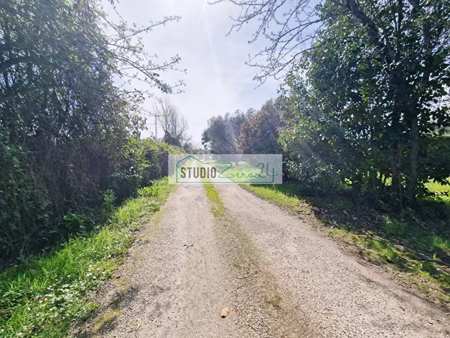 Immagine 25 di Villa in vendita  in via fratelli rosselli a Camaiore