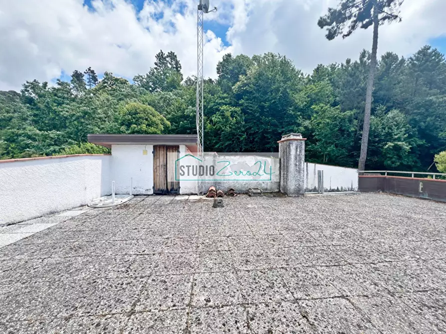 Immagine 100 di Villa in vendita  in Via delle Capanne 1185 a Camaiore