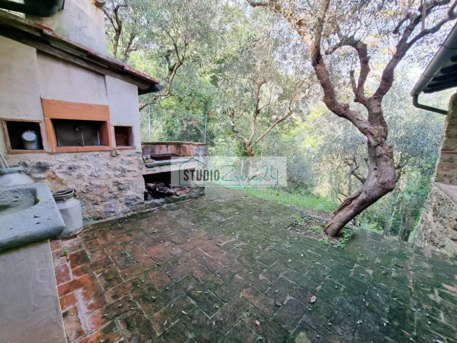 Immagine 45 di Villa in vendita  in via cafaggio a Camaiore