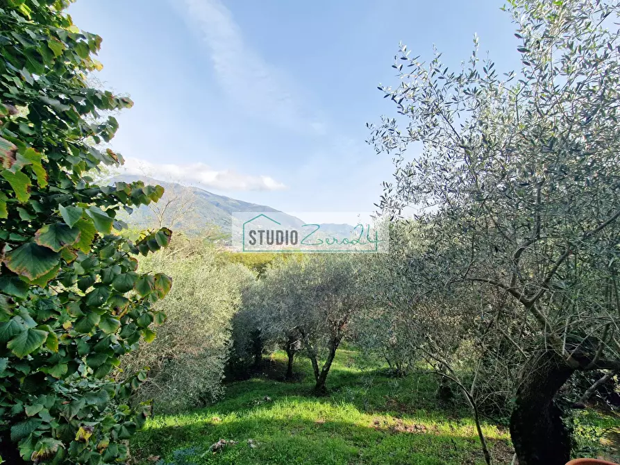 Immagine 89 di Villa in vendita  in via cafaggio a Camaiore