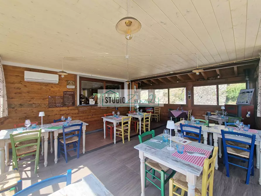 Immagine 14 di Locale commerciale in vendita  in Via Trescolli 1546 a Camaiore