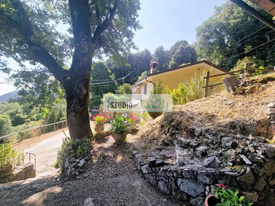 Immagine 32 di Casa semindipendente in vendita  in via di trescolli 140 a Camaiore