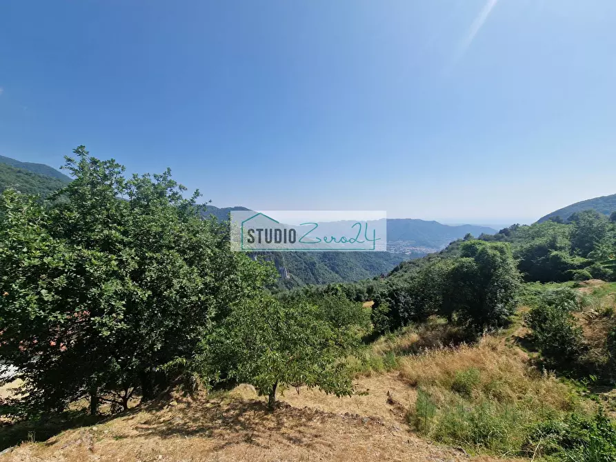 Immagine 33 di Casa semindipendente in vendita  in via di trescolli 140 a Camaiore