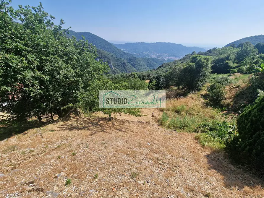 Immagine 34 di Casa semindipendente in vendita  in via di trescolli 140 a Camaiore