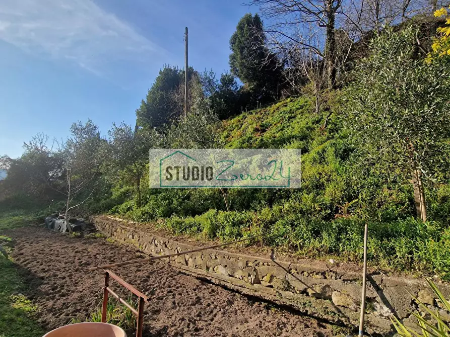 Immagine 31 di Casa semindipendente in vendita  in via Sandro Bertini 8 a Camaiore