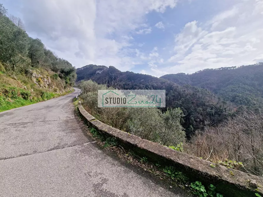 Immagine 9 di Terreno agricolo in vendita  in via sandro pertini a Camaiore