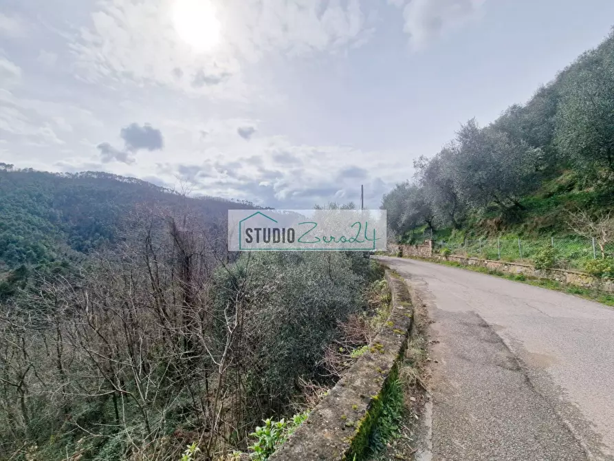 Immagine 10 di Terreno agricolo in vendita  in via sandro pertini a Camaiore