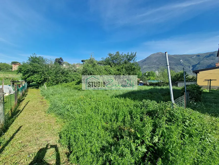 Immagine 52 di Villa in vendita  in Via delle selvette 12 a Camaiore