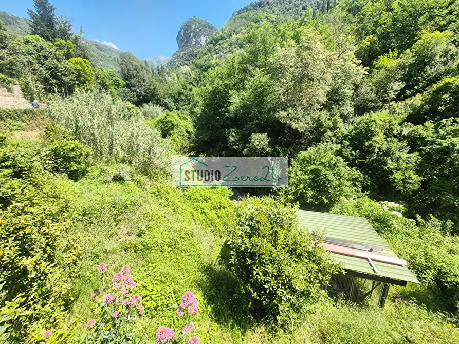 Immagine 30 di Casa semindipendente in vendita  in via prunaca 14 a Camaiore