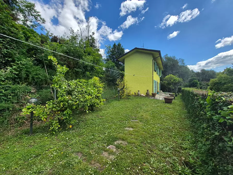 Immagine 3 di Villa in vendita  in Via del Pezzigno 16 a Camaiore
