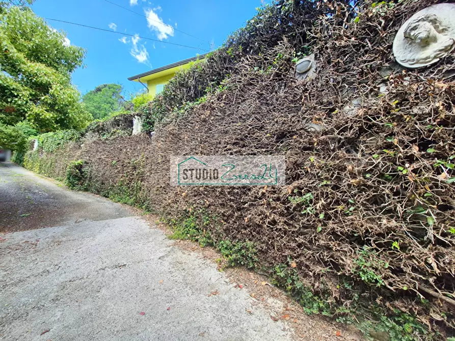 Immagine 27 di Villa in vendita  in Via del Pezzigno 16 a Camaiore