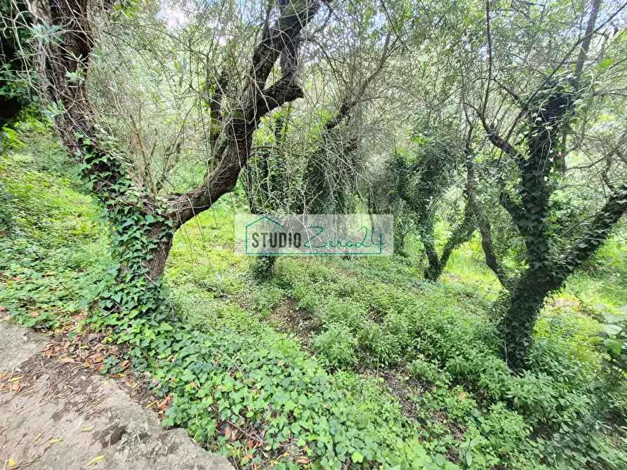 Immagine 30 di Villa in vendita  in Via del Pezzigno 16 a Camaiore