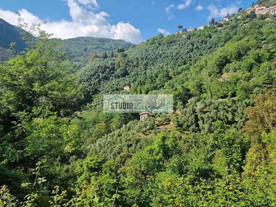 Immagine 3 di Villa in vendita  in Via della torre a Camaiore