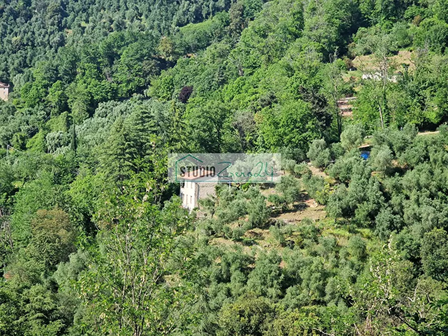 Immagine 4 di Villa in vendita  in Via della torre a Camaiore