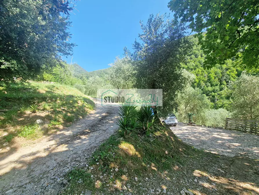 Immagine 6 di Villa in vendita  in Via della torre a Camaiore