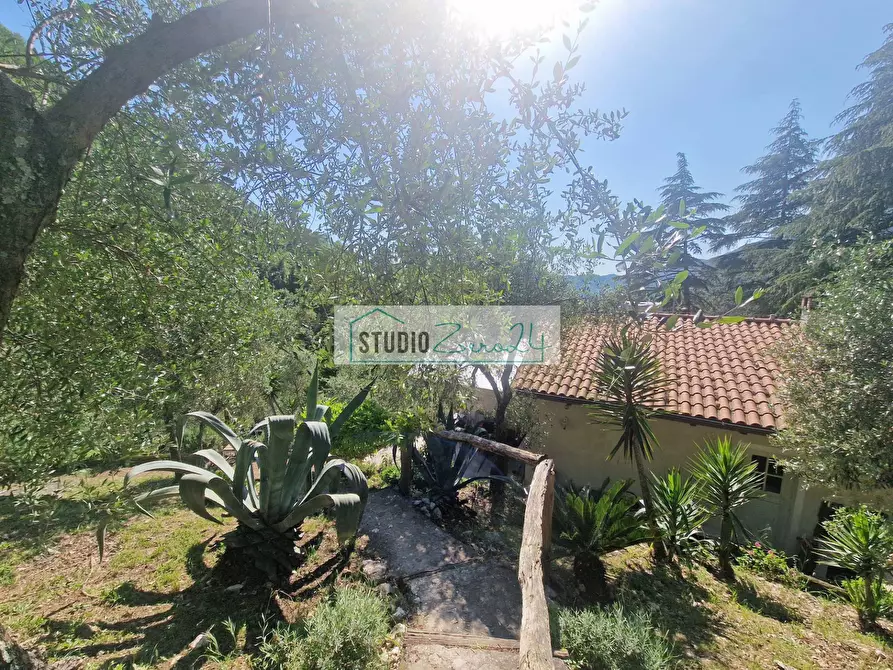 Immagine 8 di Villa in vendita  in Via della torre a Camaiore