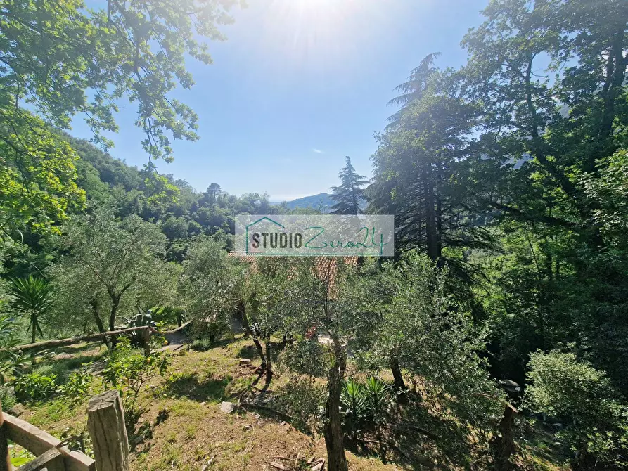 Immagine 10 di Villa in vendita  in Via della torre a Camaiore