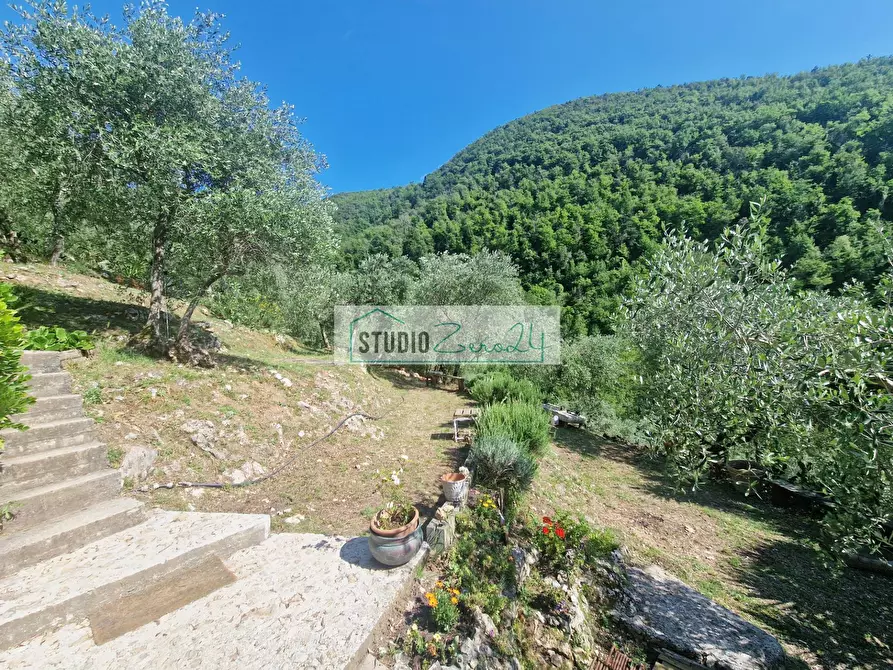 Immagine 11 di Villa in vendita  in Via della torre a Camaiore