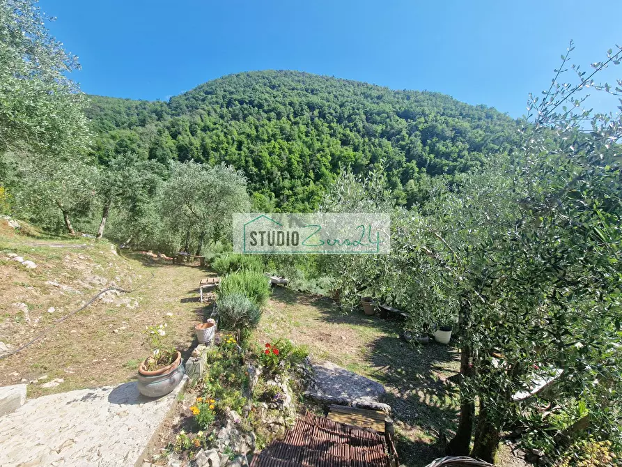 Immagine 12 di Villa in vendita  in Via della torre a Camaiore