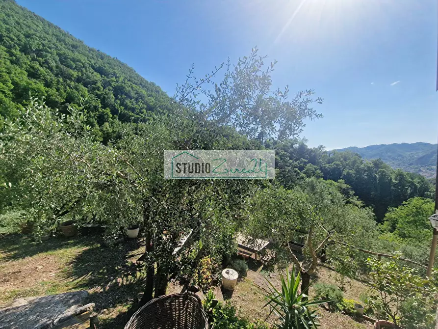 Immagine 13 di Villa in vendita  in Via della torre a Camaiore