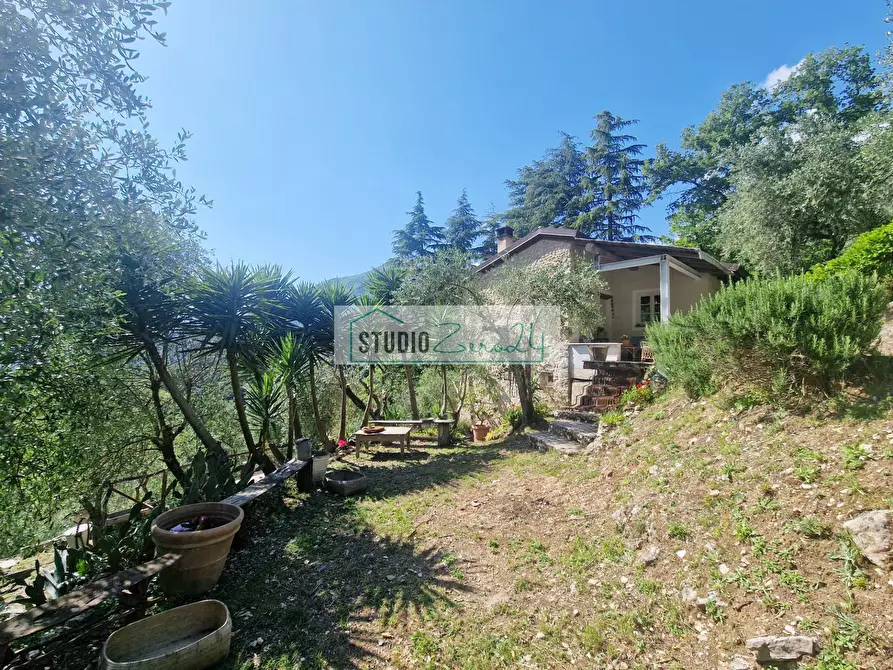 Immagine 21 di Villa in vendita  in Via della torre a Camaiore