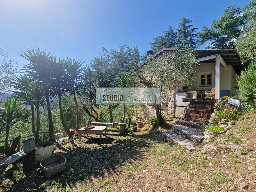 Immagine 22 di Villa in vendita  in Via della torre a Camaiore